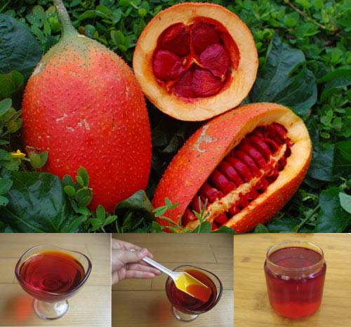 6 cách điều trị nám da lâu năm từ nguyên liệu thiên nhiên7